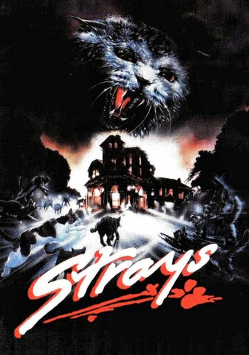 Бездомные твари