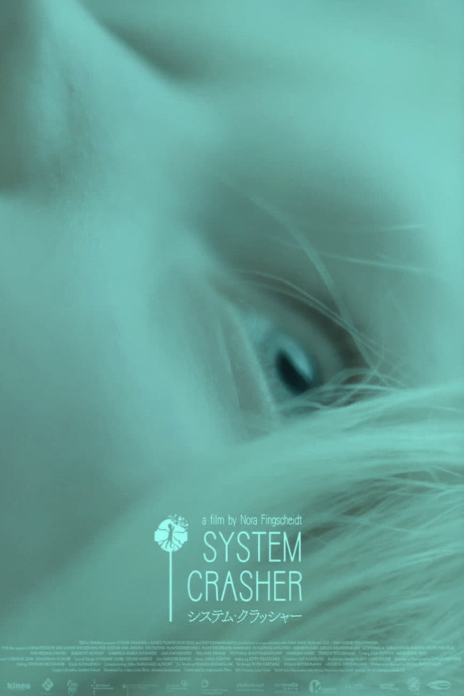 System Crasher