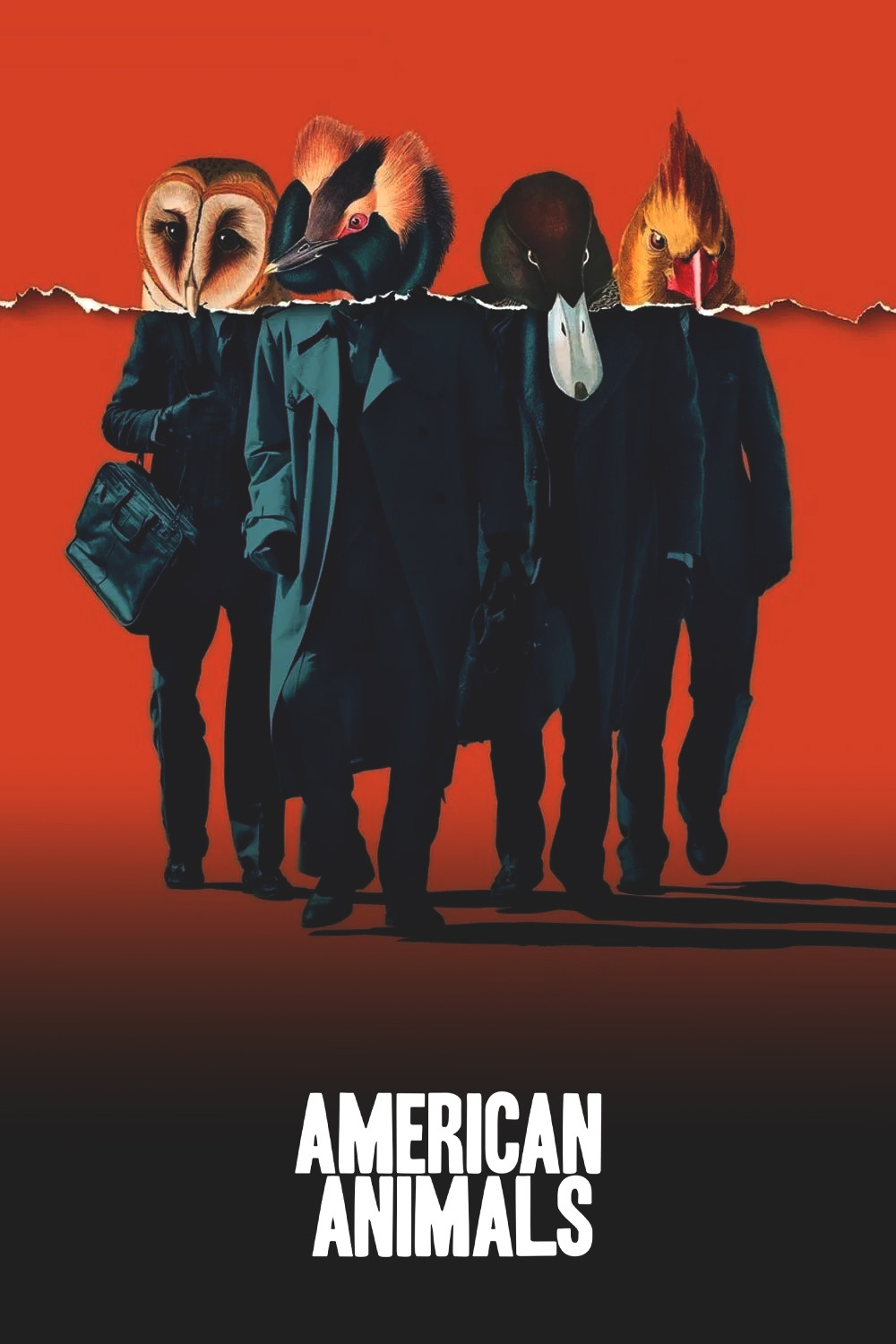 American Animals