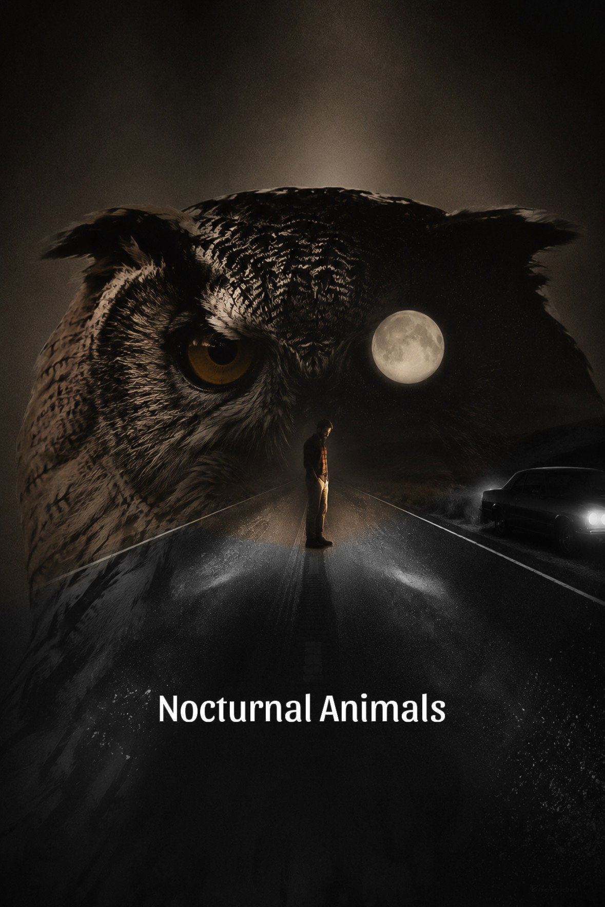 Nocturnal Animals