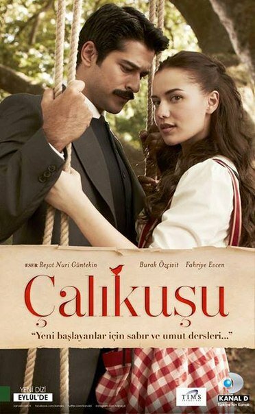 Королёк – птичка певчая