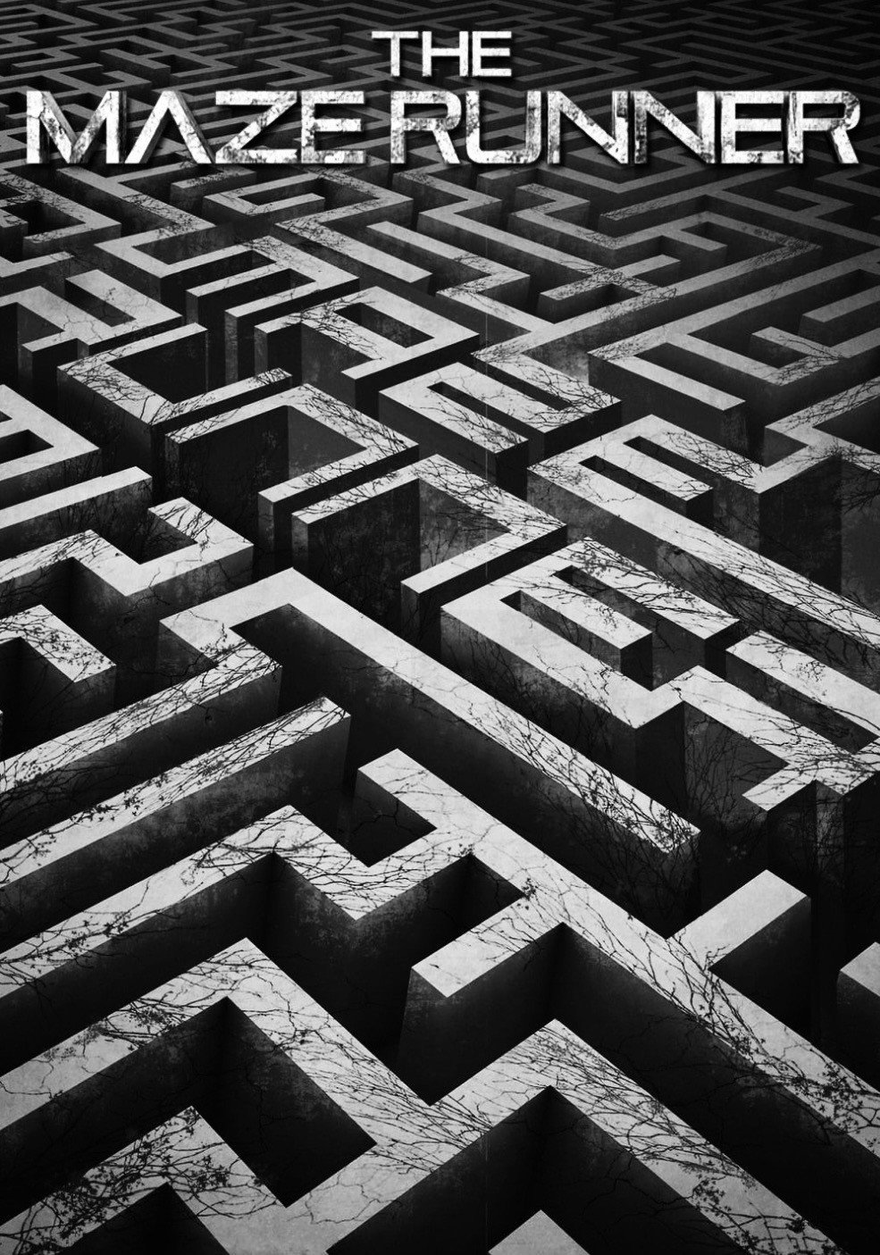 The Maze Runner