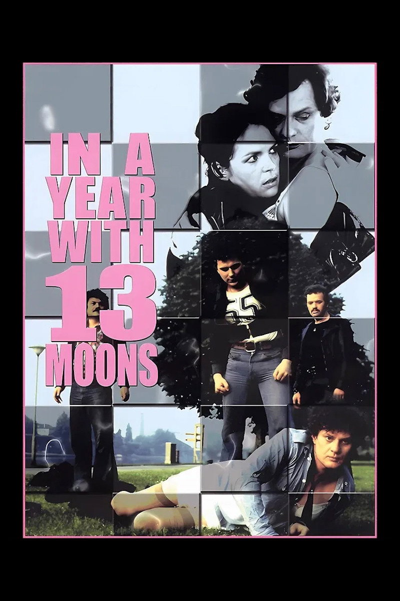 In a Year with 13 Moons