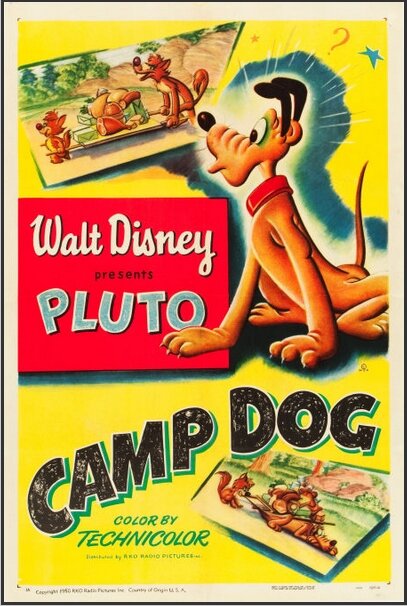 Camp Dog