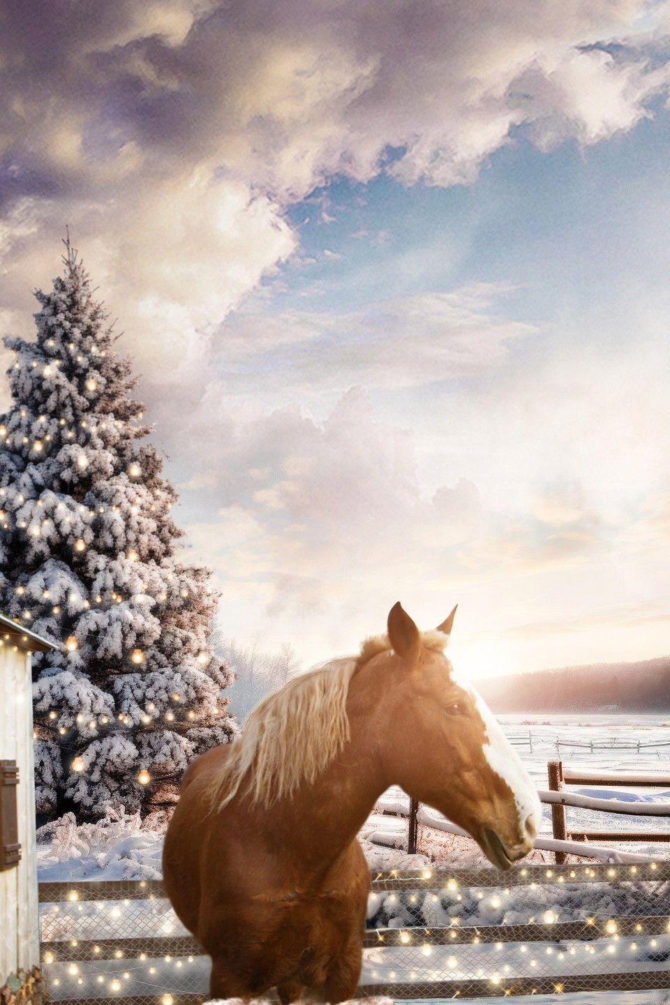 December Horses (2023)