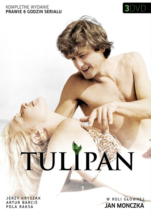 Тюльпан