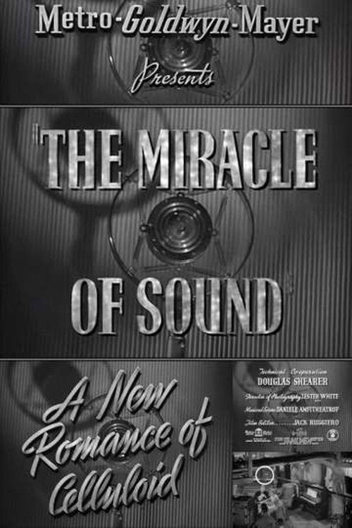 The Miracle of Sound