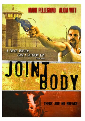 Joint Body