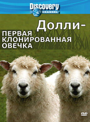 Discovery: Долли – первая клонированная овечка