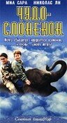 Чудо – слоненок