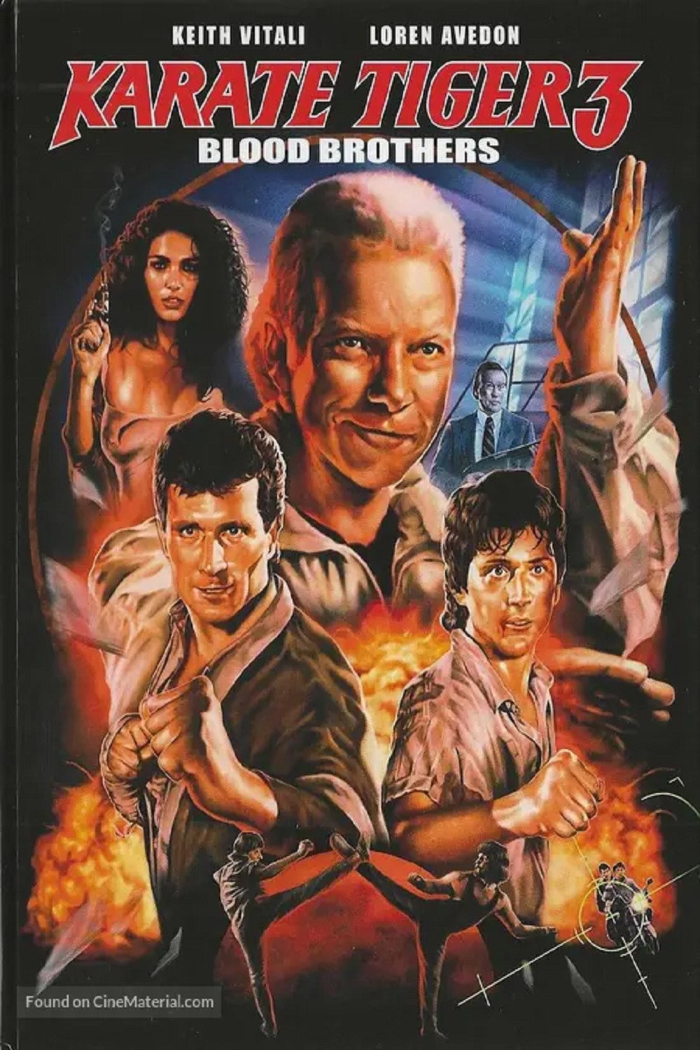 Karate Tiger 3 - Blutsbrüder