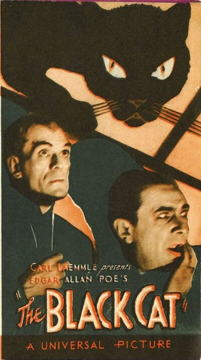 Черный кот
