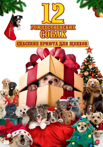 12 рождественских собак: Спасение приюта для щенков