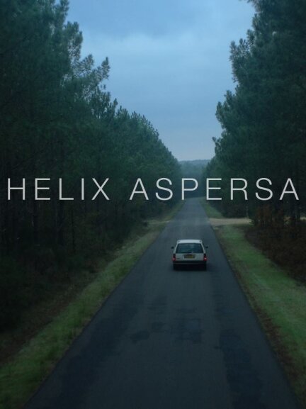 Helix Aspersa