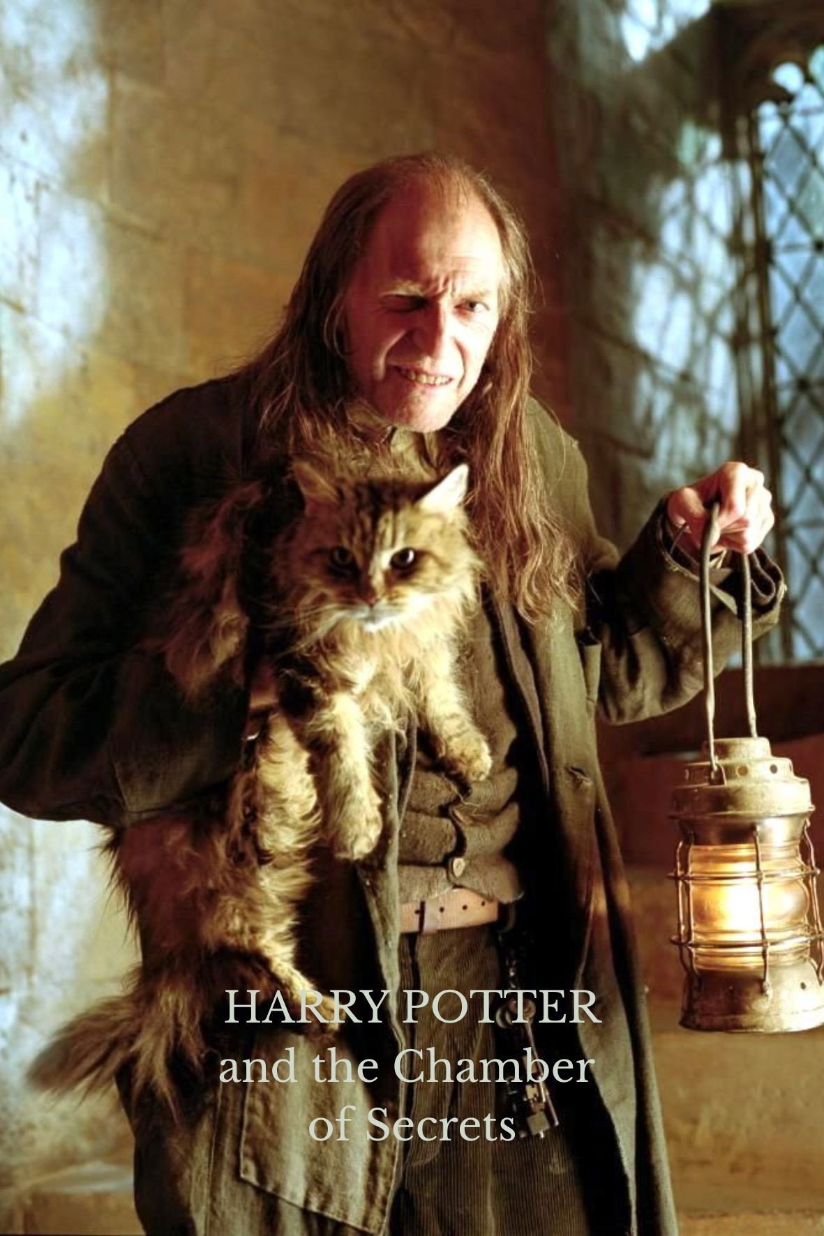 Harry Potter and the Chamber of Secrets
