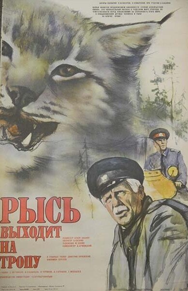Рысь выходит на тропу