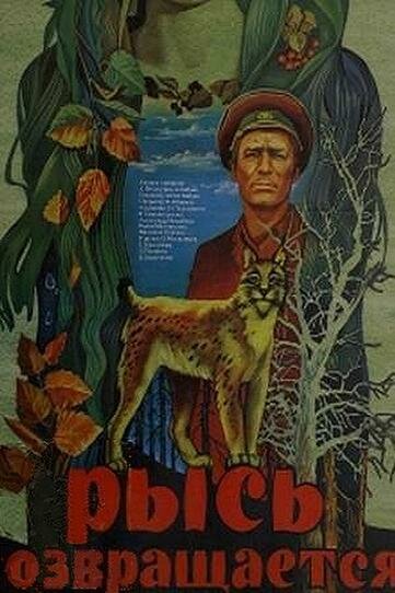 Рысь возвращается