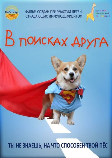 В поисках друга