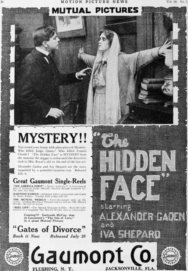 The Hidden Face