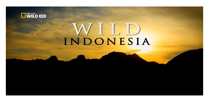 Destination Wild: Indonesia