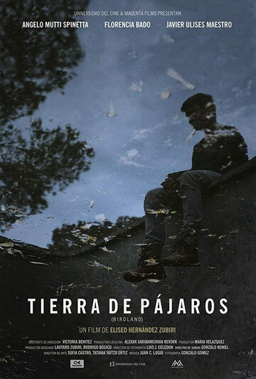 Tierra de Pájaros