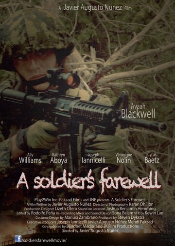 A soldier's farewell
