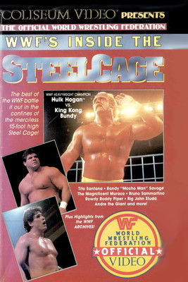 WWF's Inside the Steel Cage