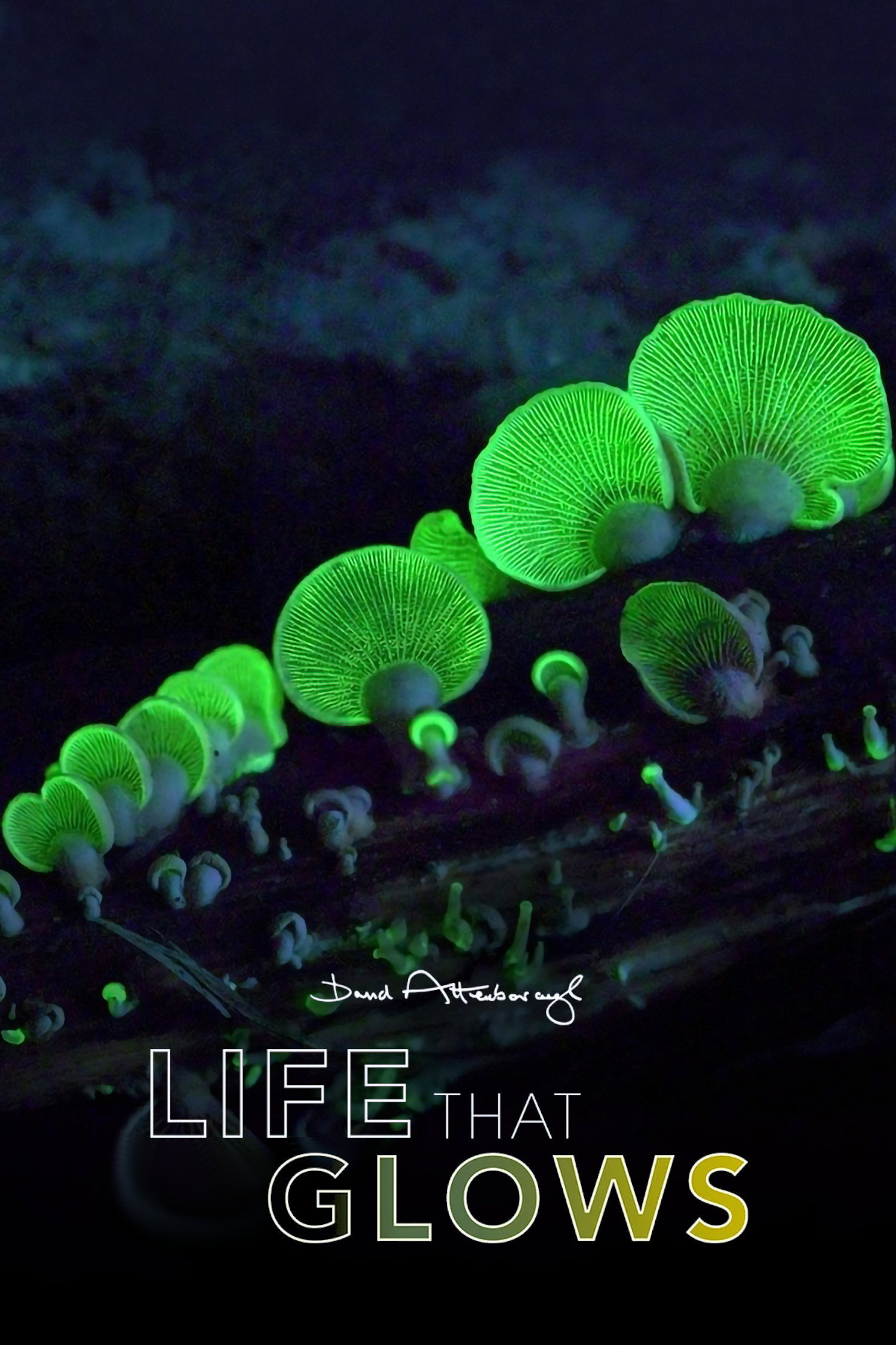 Attenborough's Life That Glows