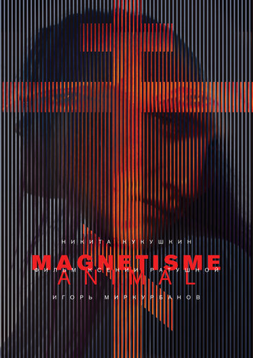Магнетизм