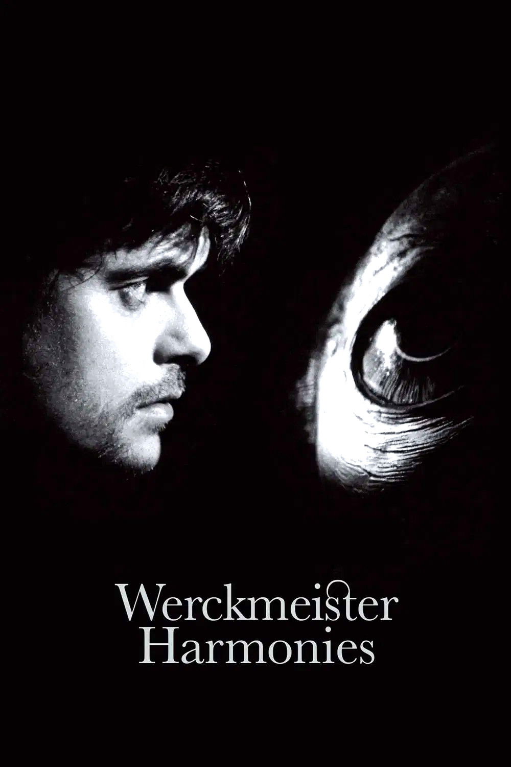 Werckmeister Harmonies