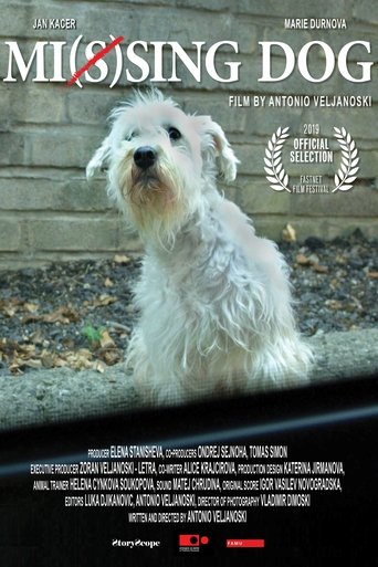 Mi(s)sing dog