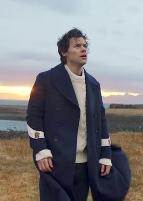 Harry Styles: Sign of the Times