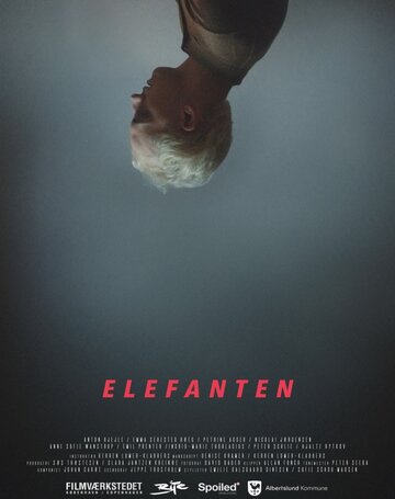 Elefanten