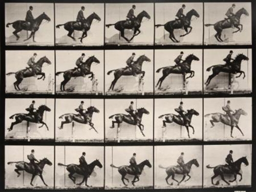 Man Riding Jumping Horse