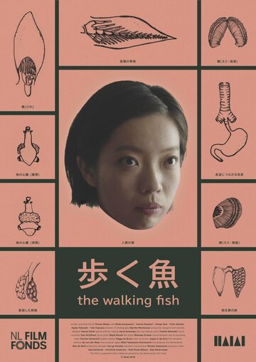 The Walking Fish