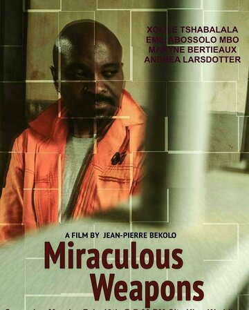 Miraculous Weapons