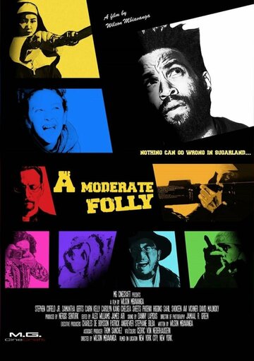 A Moderate Folly