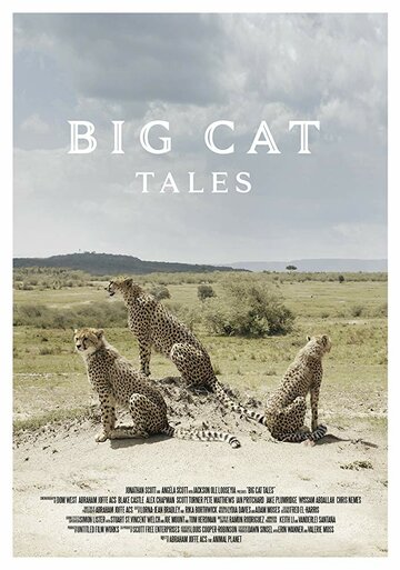 Big Cat Tales