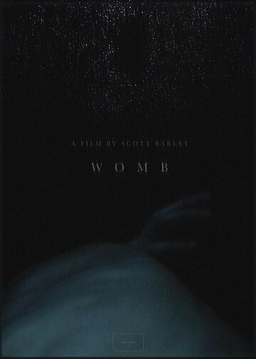 Womb