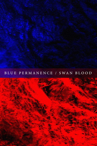Blue Permanence/Swan Blood