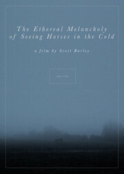 The Ethereal Melancholy of Seeing Horses in the Cold