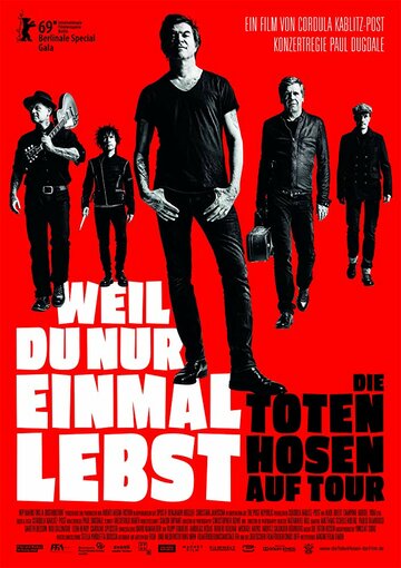 Ведь только раз живёшь. Турне рок-группы Die Toten Hosen