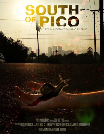 South of Pico