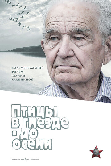 Птицы в гнезде – до осени