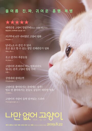 Привет, кот
