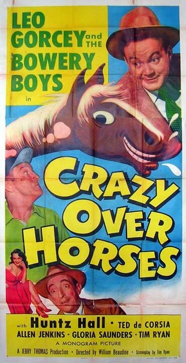 Crazy Over Horses
