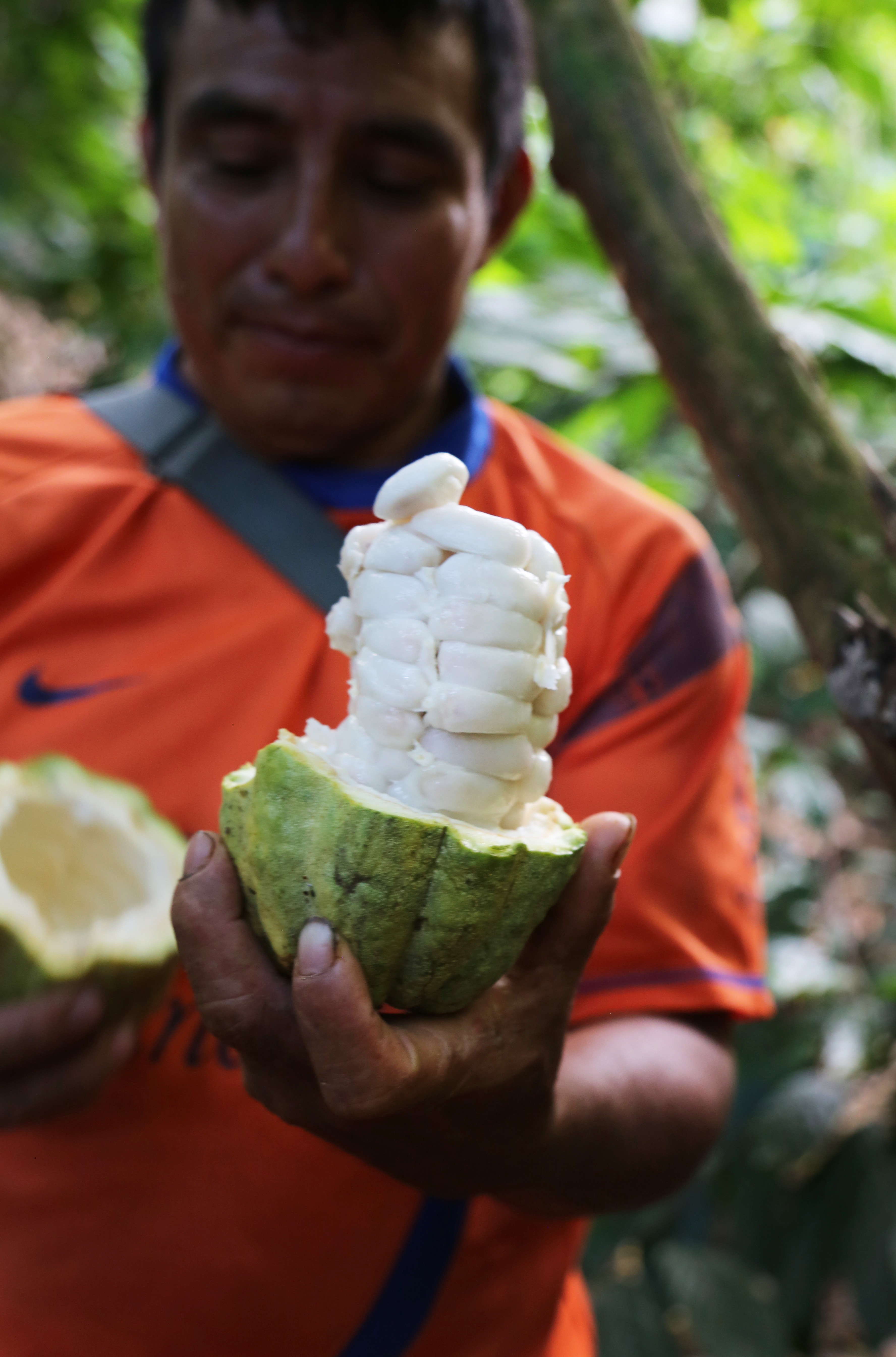 Setting the Bar: A Craft Chocolate Origin Story
