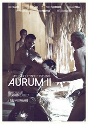 Aurum II