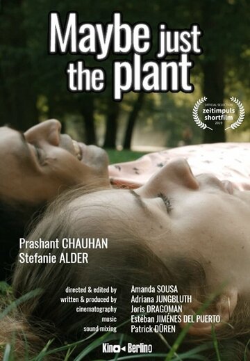 Maybe just the plant