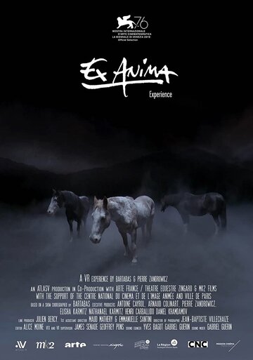 Ex Anima Experience